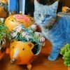 Plant pots,handmade planters,handmade gift,Hedgehog - Image 2