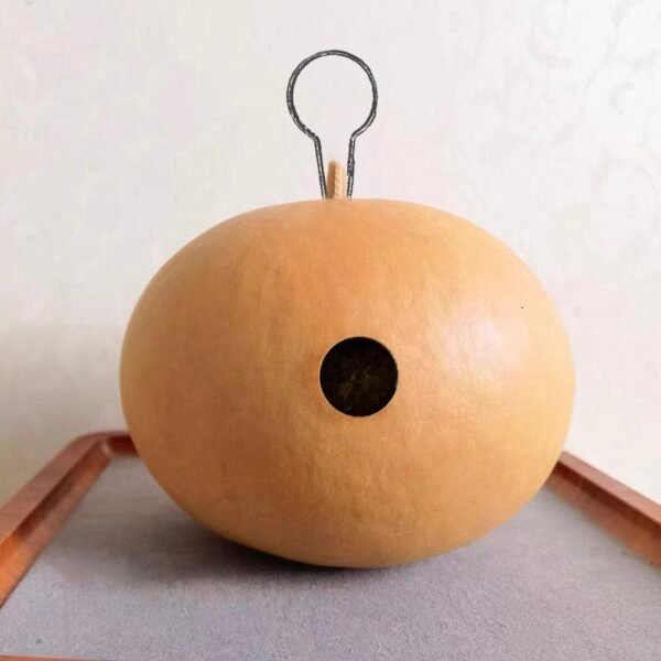 diy craft kit,gourds for bird houses,arts and crafts kits - Image 2